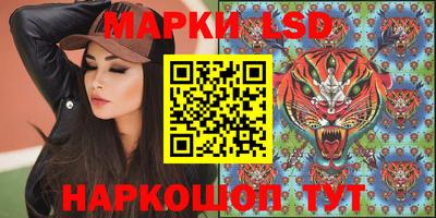 PSILOCYBIN Камышлов