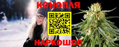 PSILOCYBIN Камышлов