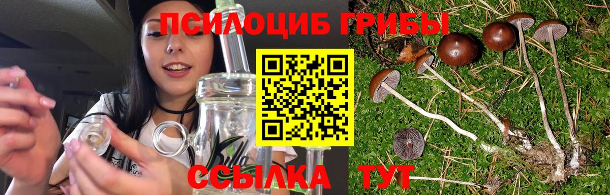АМФЕТАМИН Жуковский