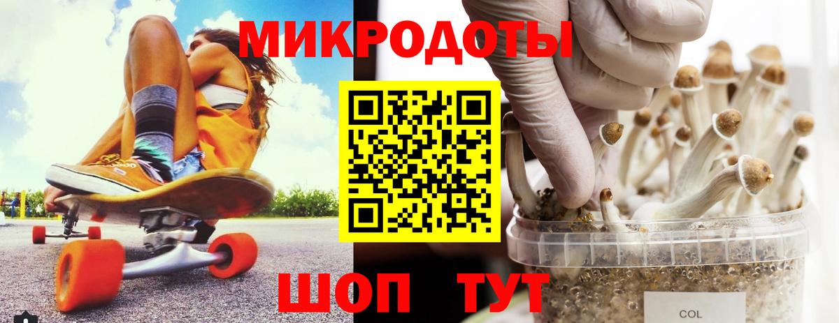 Жуковский  Псилоцибиновые грибы Cubensis  Вход с VPN 